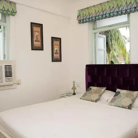 Casa Flore- 1Bhk Studio Apt